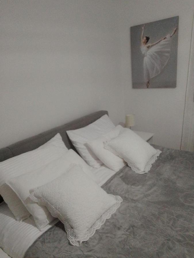 Apartament Nektar 88 Vrnjačka Banja Zewnętrze zdjęcie